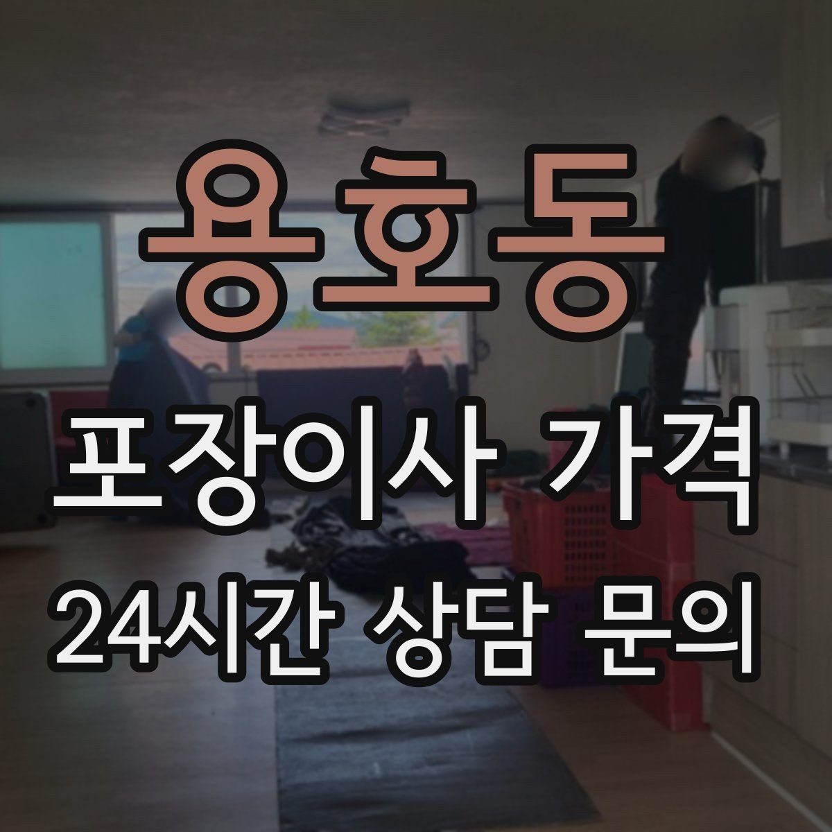 용호동 포장이사 가격 정수기 이전 설치 일정과 비용 정리