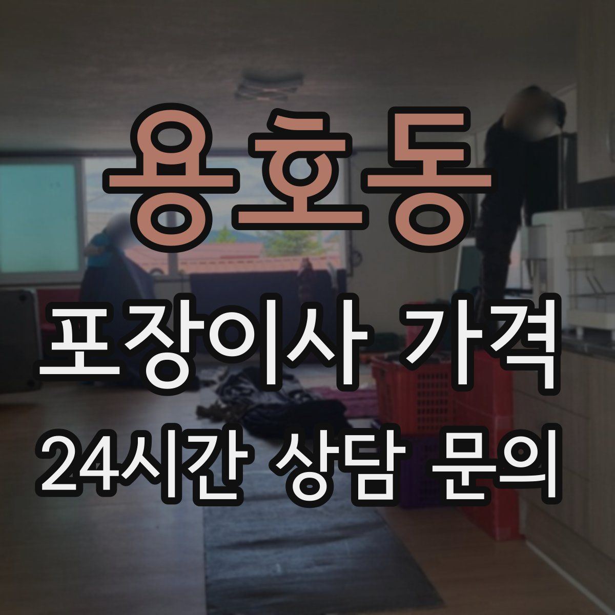용호동 포장이사 가격