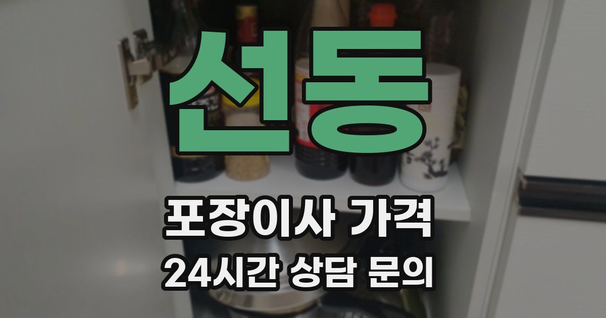 선동 포장이사 가격