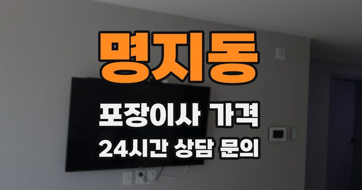 명지동 포장이사 가격