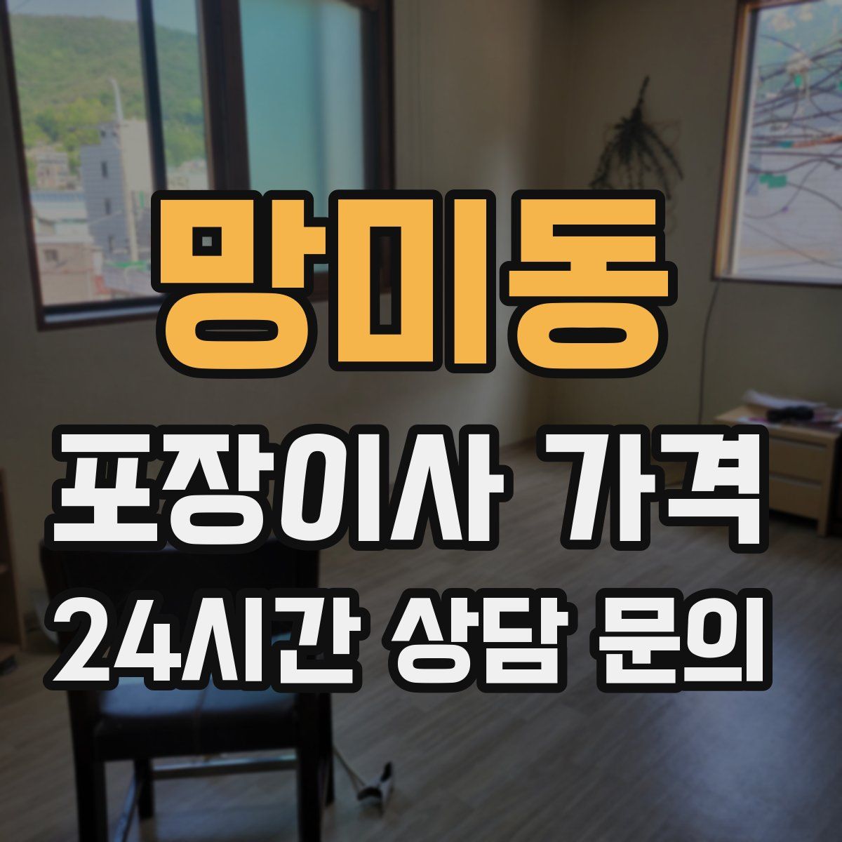 망미동 포장이사 가격