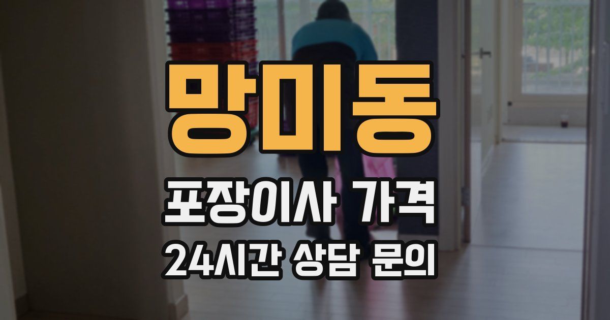 망미동 포장이사 가격