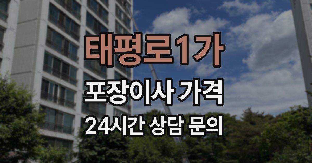 태평로1가 포장이사 가격
