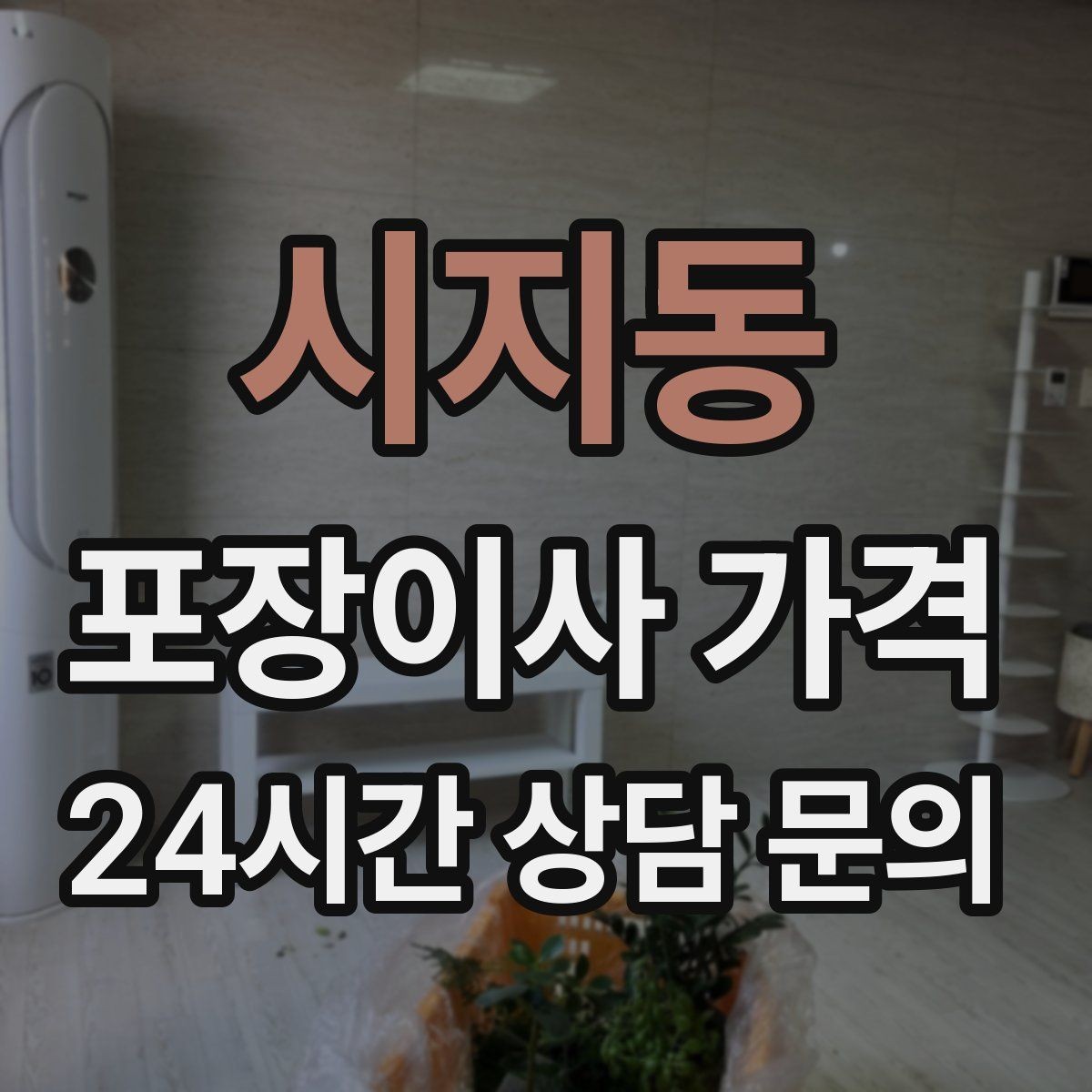 시지동 포장이사 가격 어항·대형 화분이 있을 때 견적 포인트