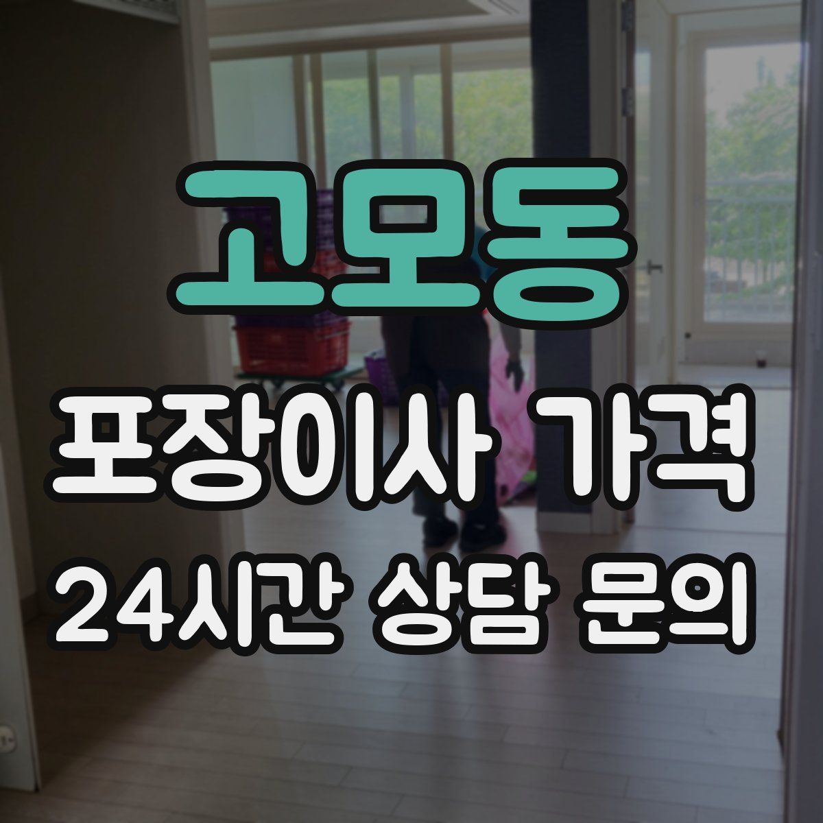 고모동 포장이사 가격