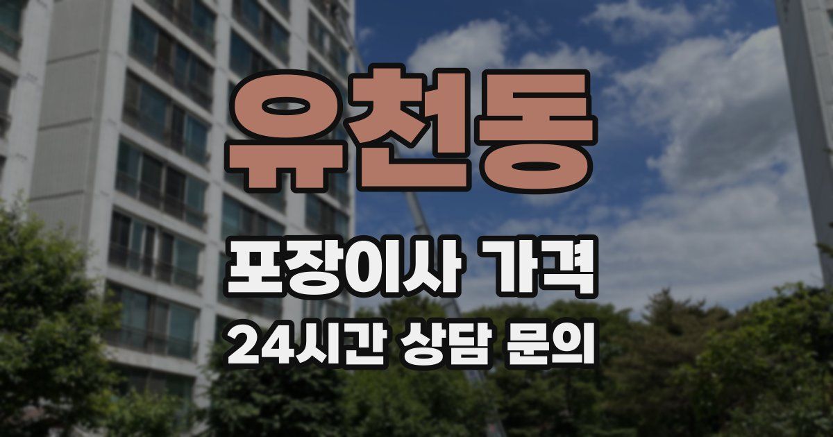 유천동 포장이사 가격