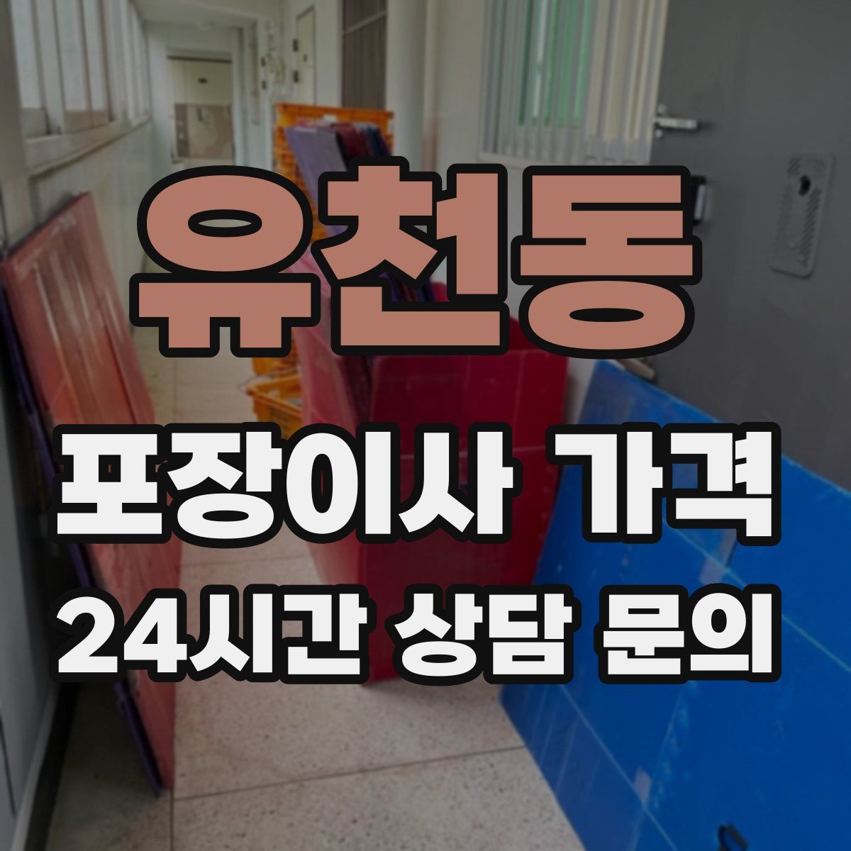 유천동 포장이사 가격