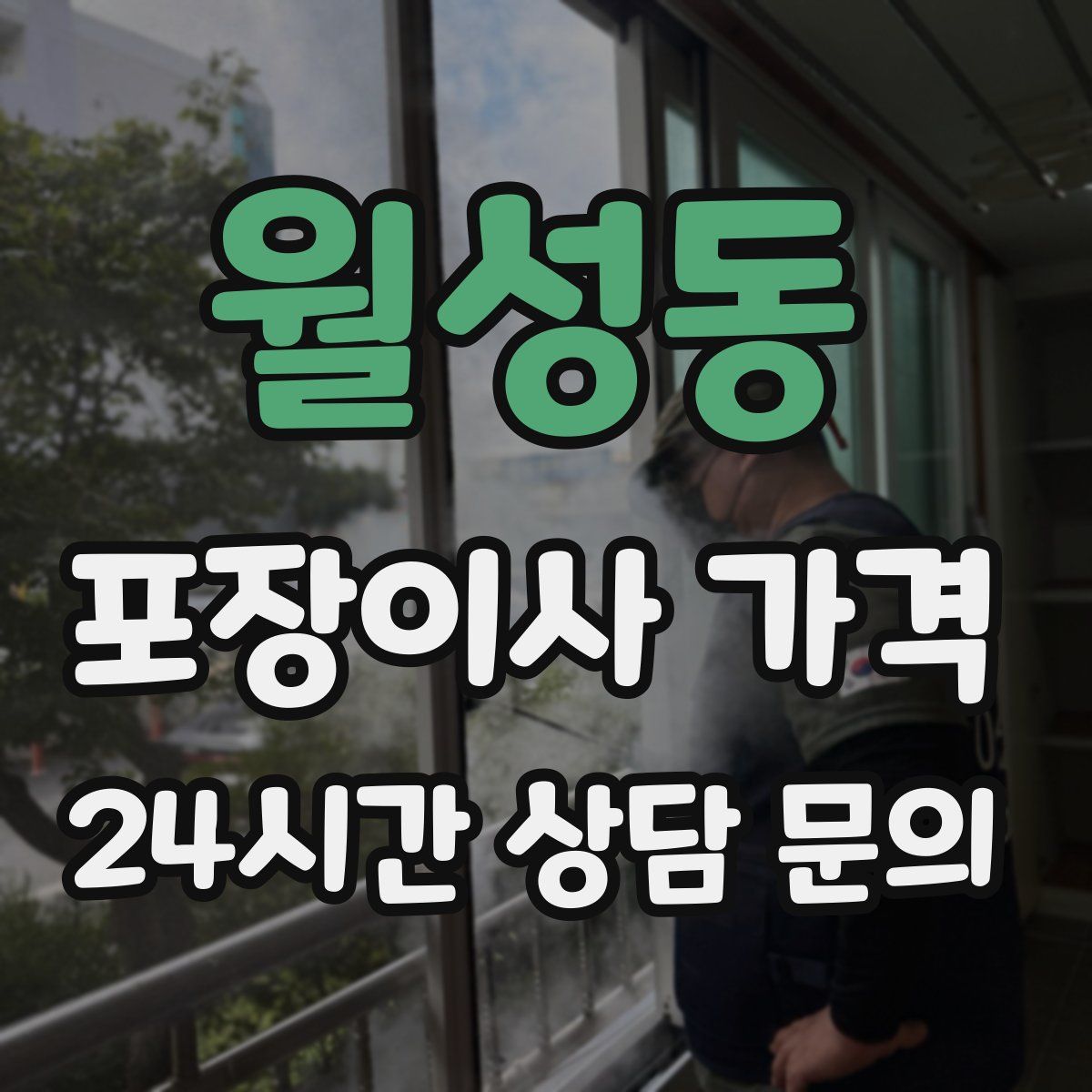 월성동 포장이사 가격