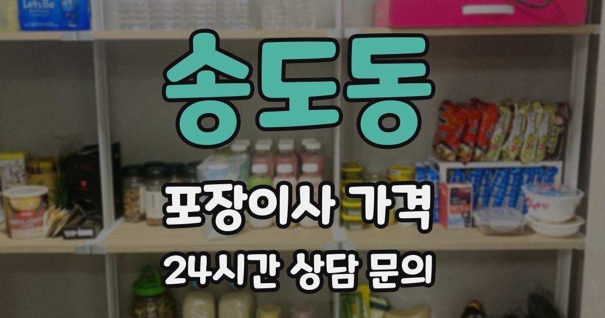 송도동 포장이사 가격