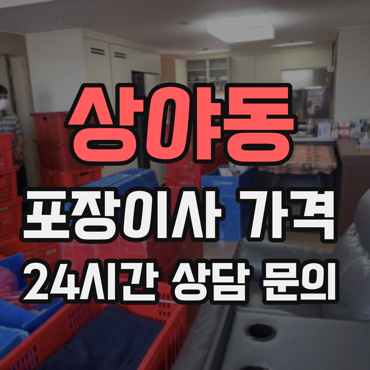 상야동 포장이사 가격 어항·대형 화분이 있을 때 견적 포인트