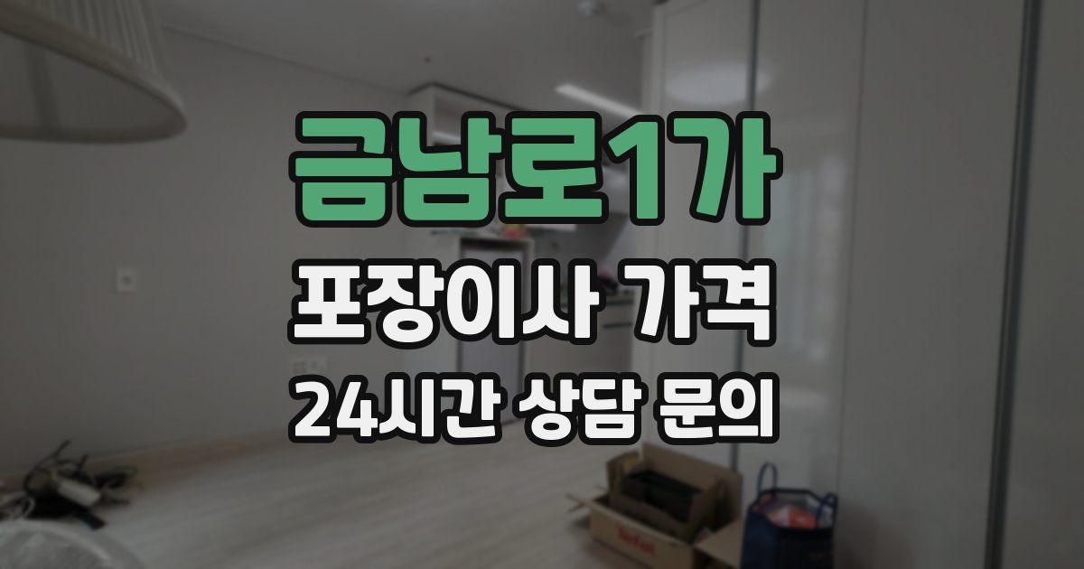 금남로1가 포장이사 가격