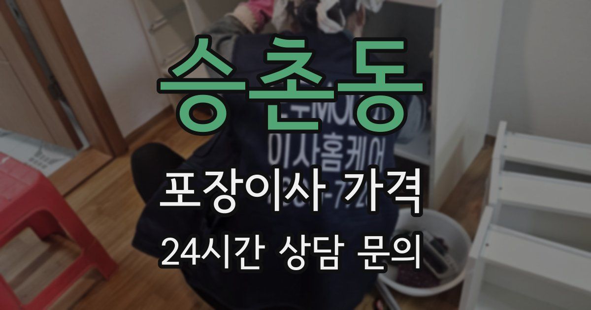 승촌동 포장이사 가격