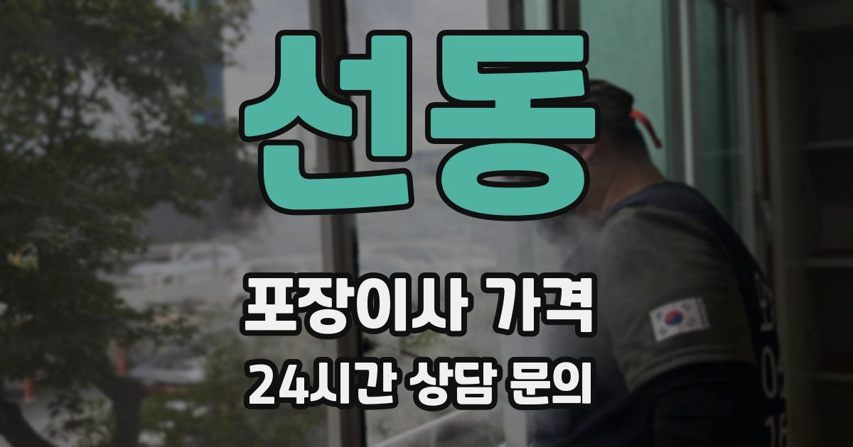 선동 포장이사 가격