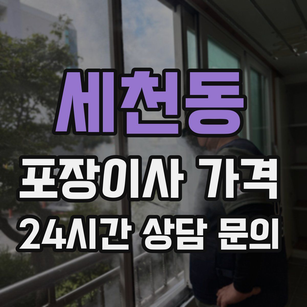 세천동 포장이사 가격