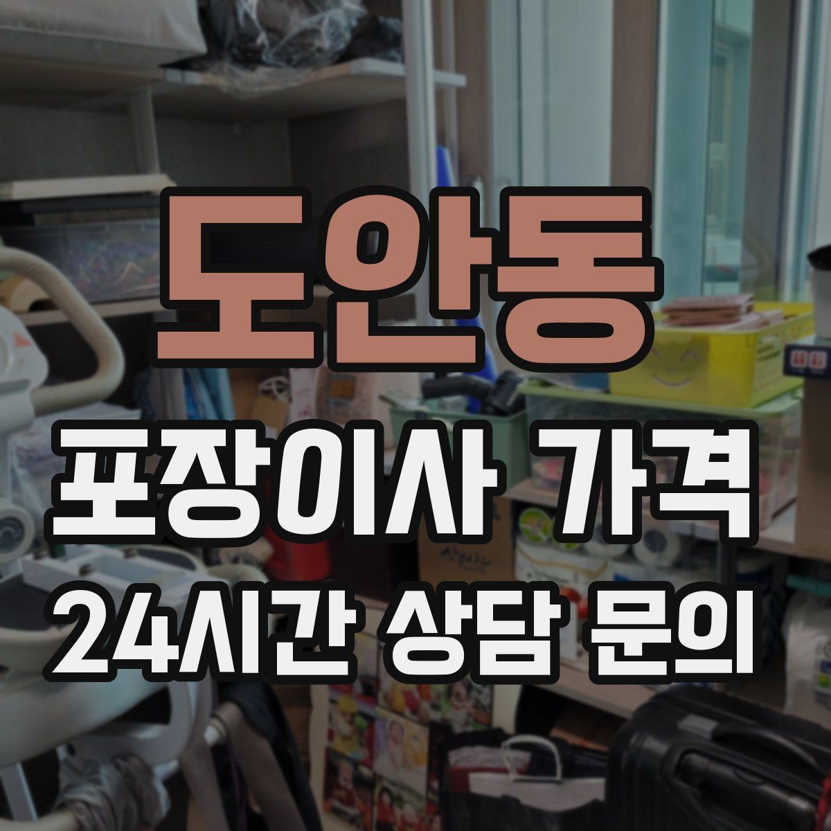 도안동 포장이사 가격