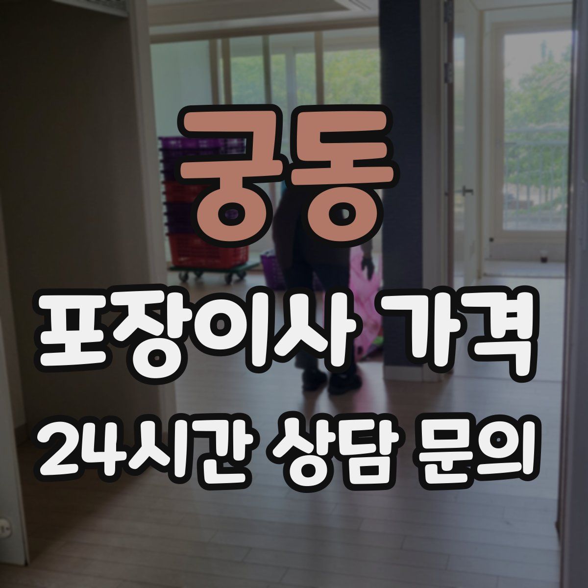 궁동 포장이사 가격