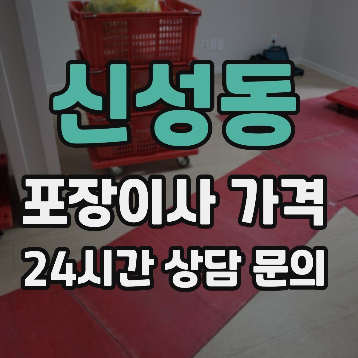 신성동 포장이사 가격 반려동물 스트레스 줄이는 이사 당일 동선