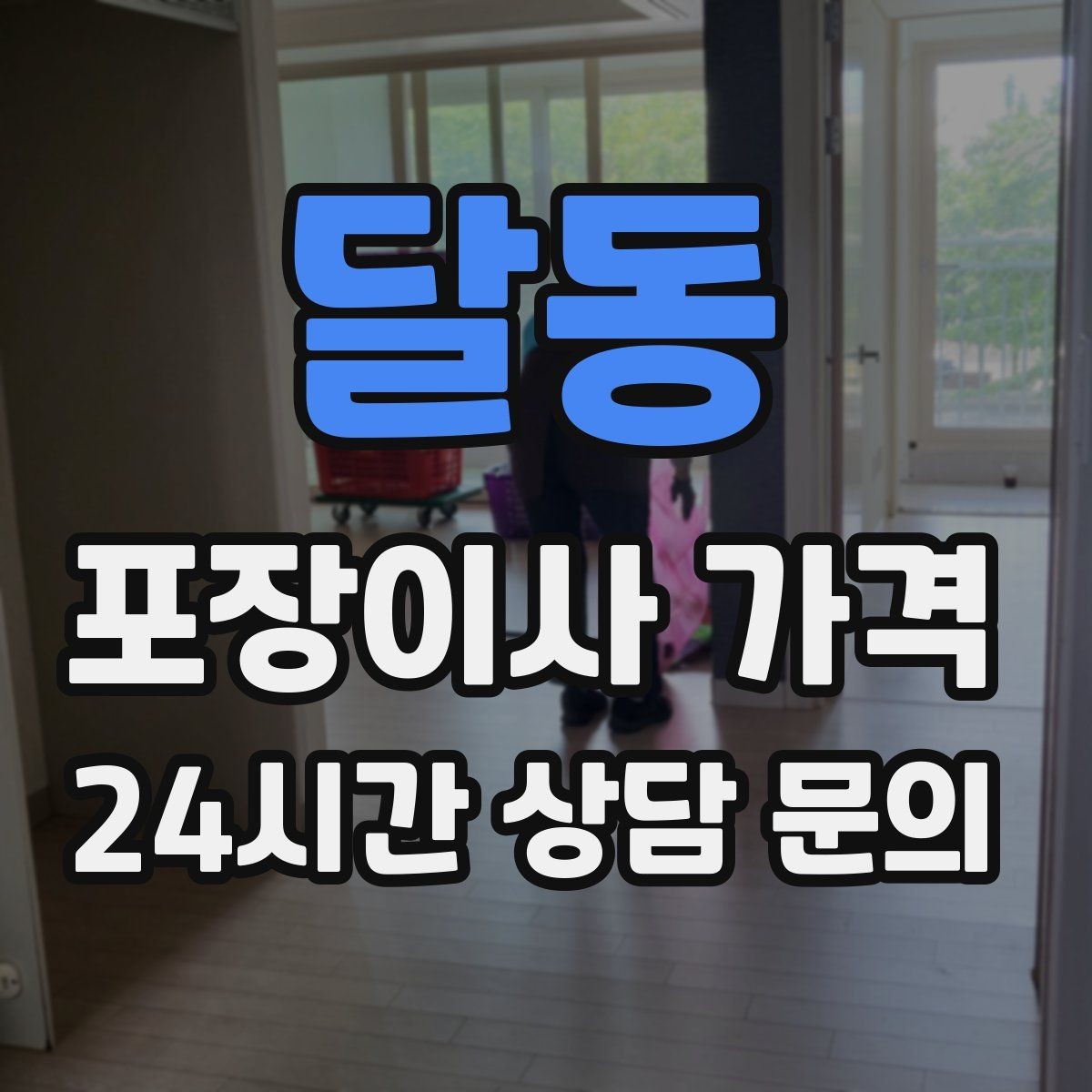 달동 포장이사 가격 반려동물 이사 준비가 비용에 미치는 영향