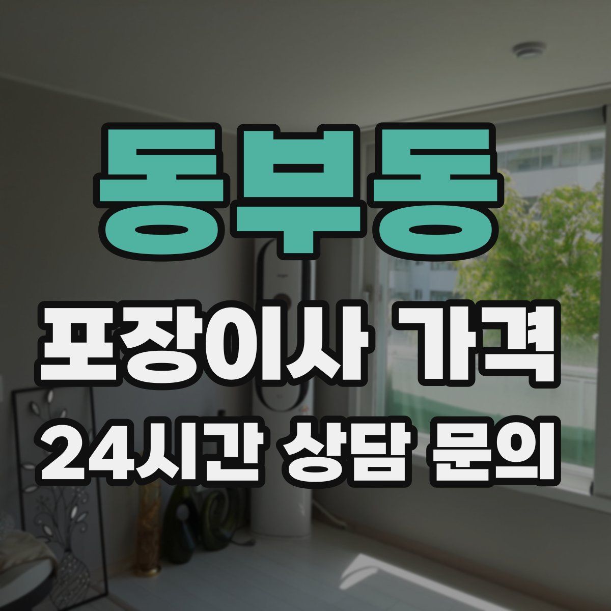 동부동 포장이사 가격