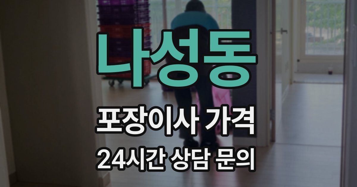 나성동 포장이사 가격