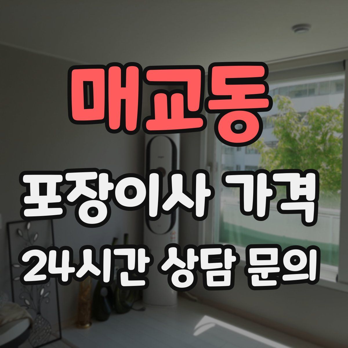 매교동 포장이사 가격
