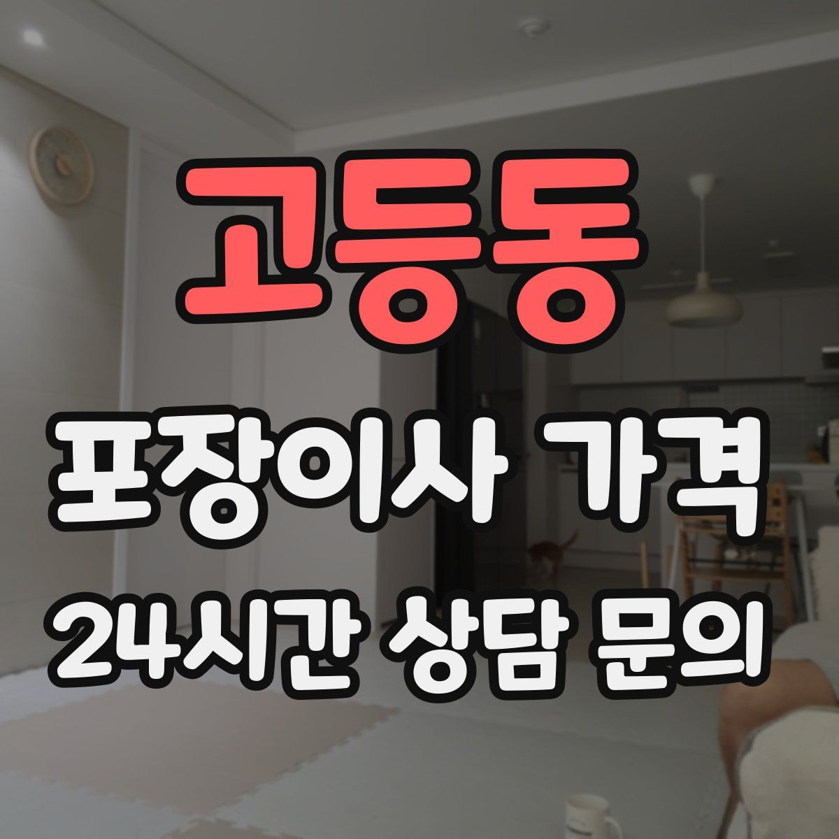 고등동 포장이사 가격