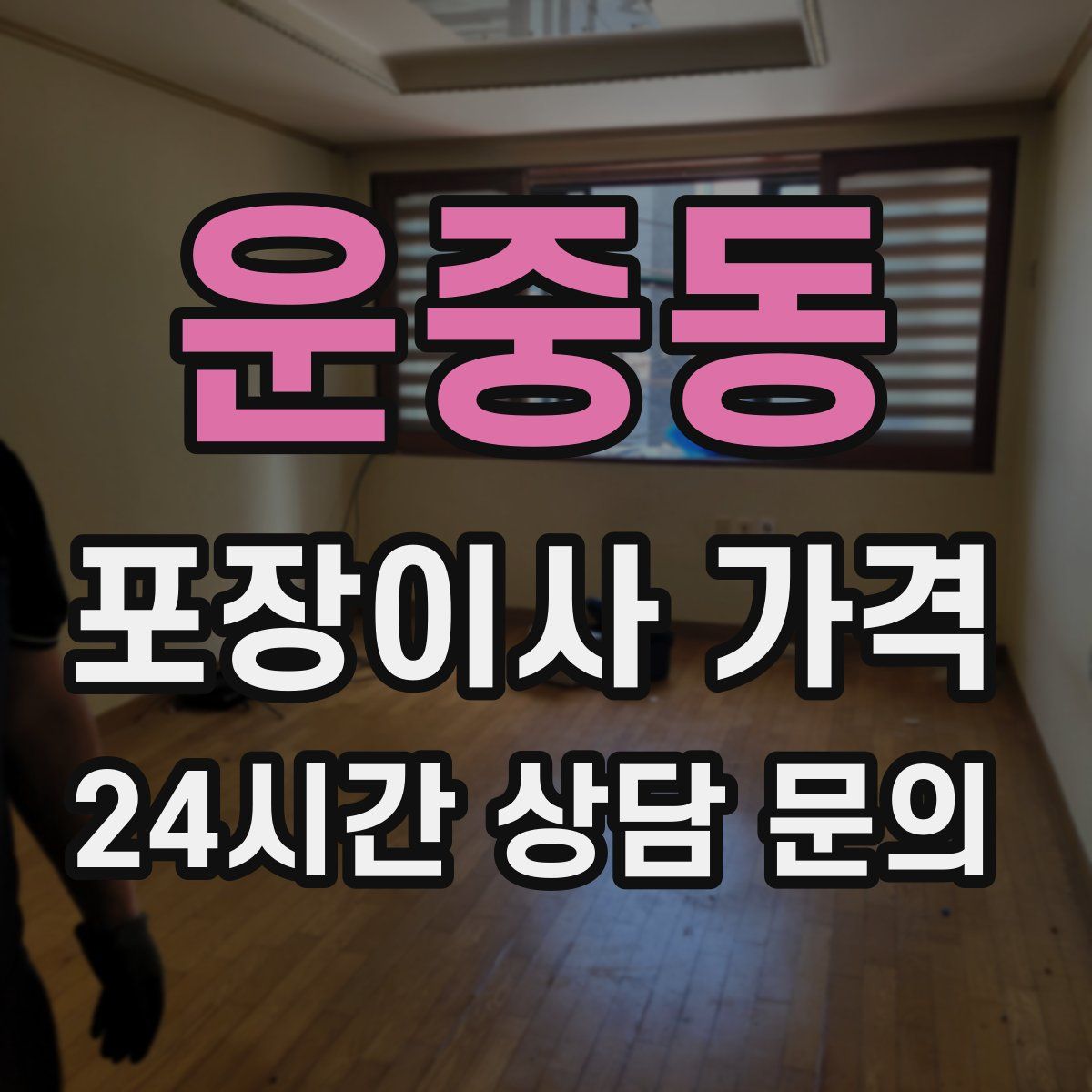 운중동 포장이사 가격