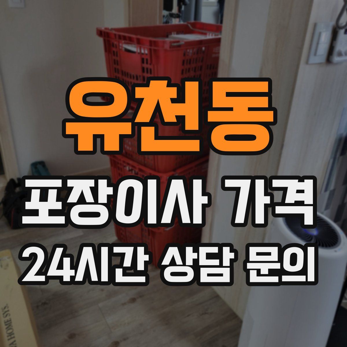 유천동 포장이사 가격