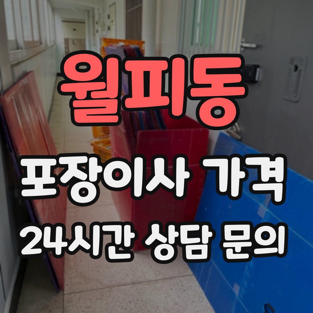 월피동 포장이사 가격