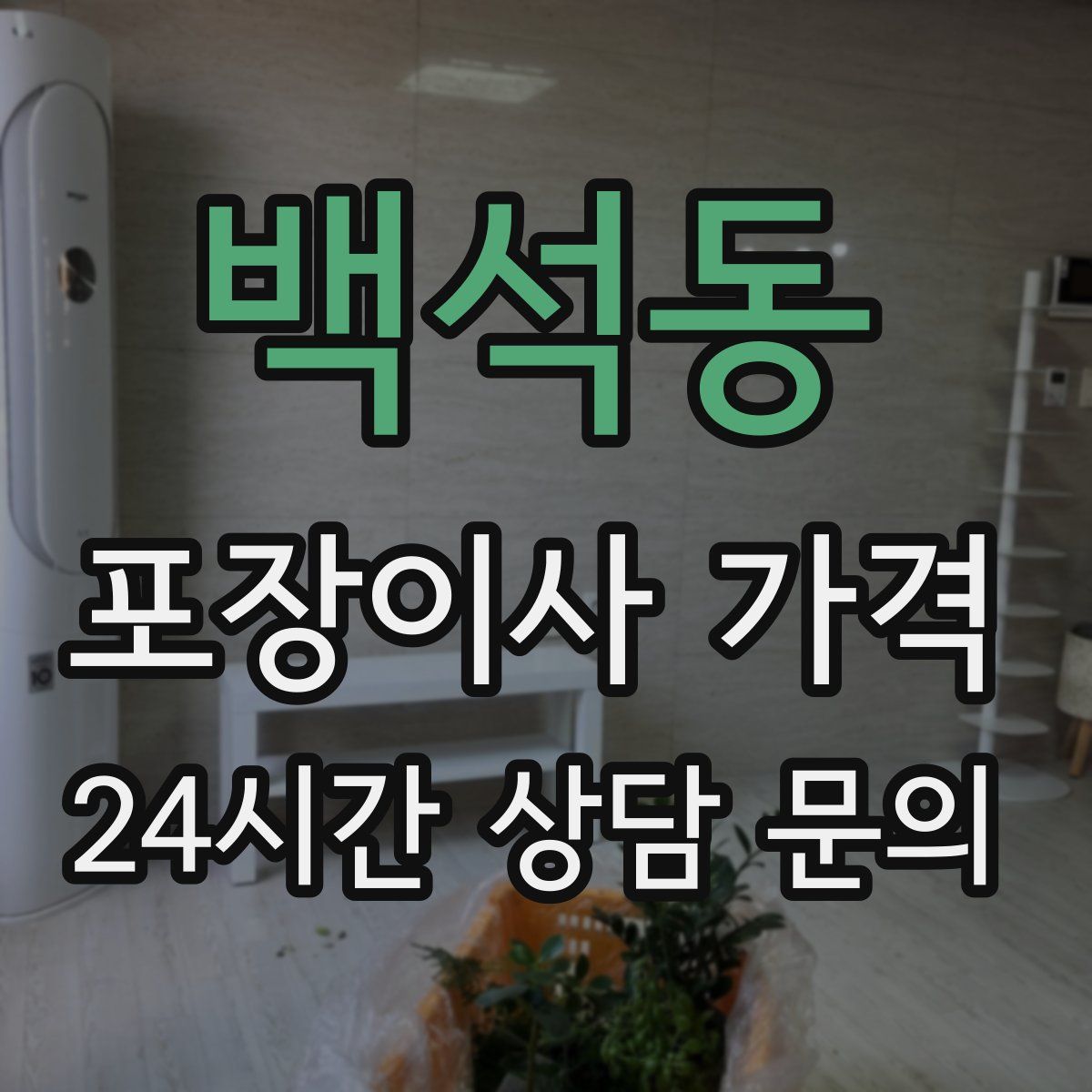 백석동 포장이사 가격