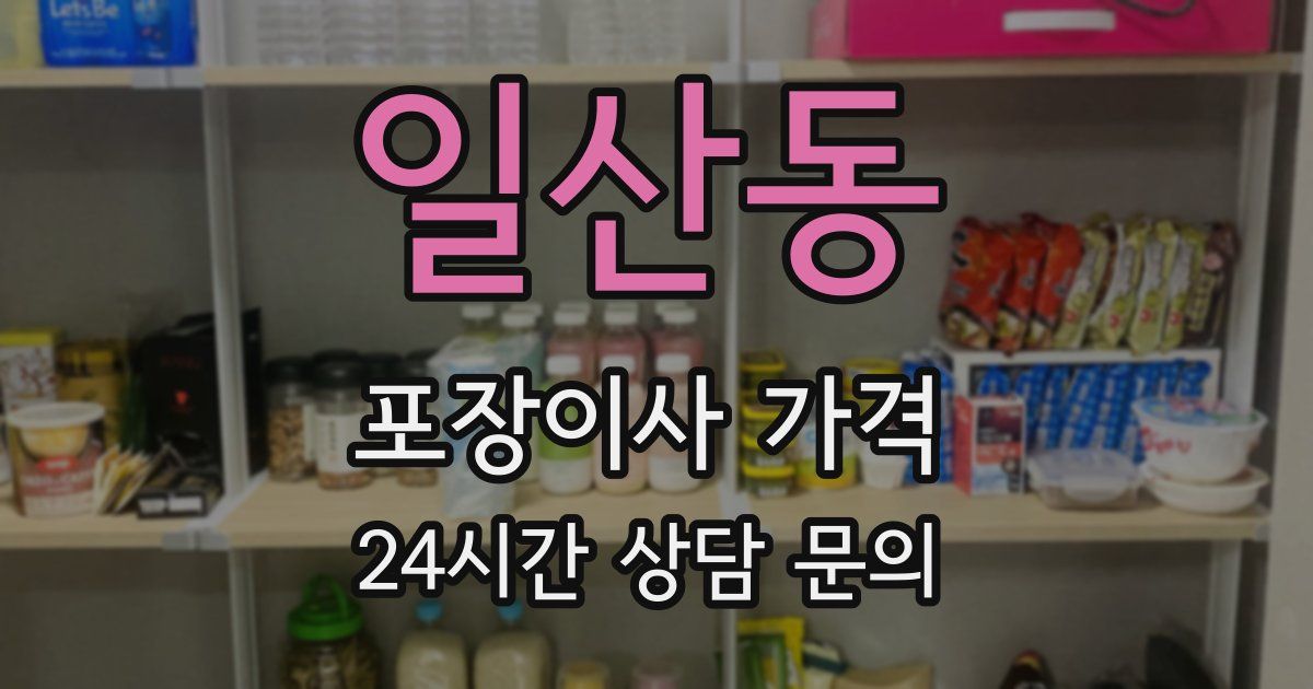 일산동 포장이사 가격