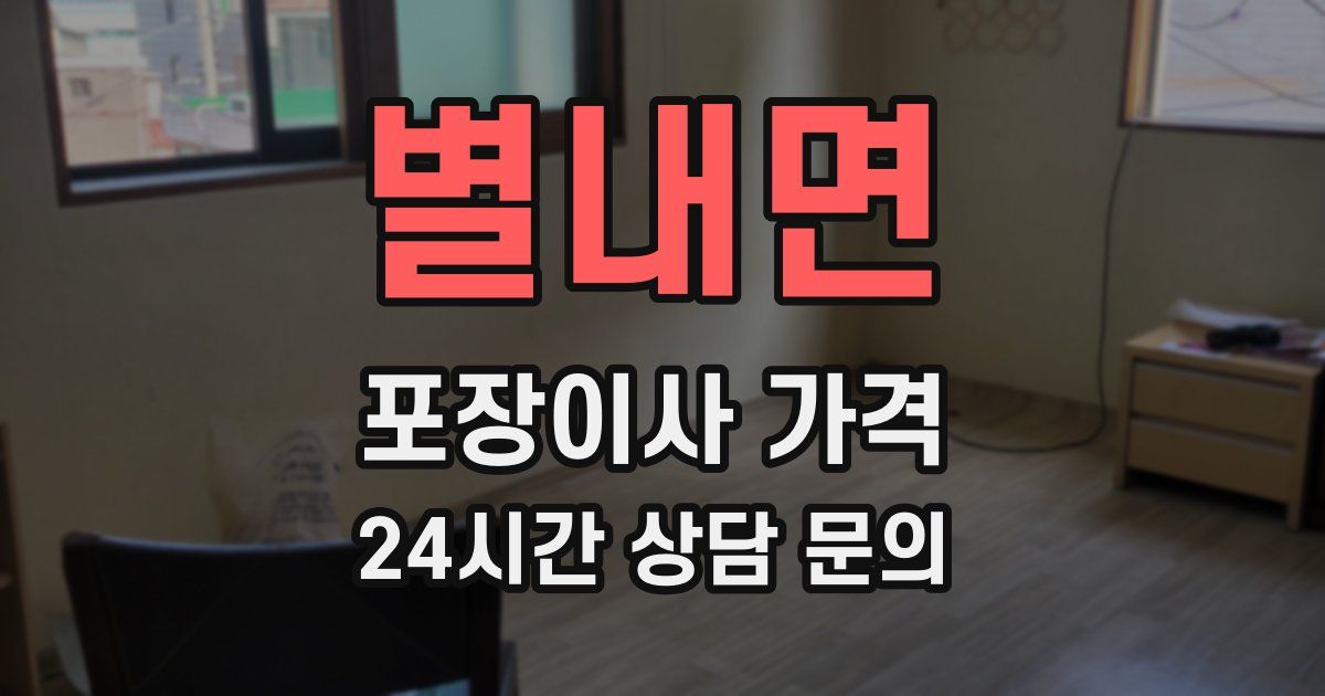 별내면 포장이사 가격