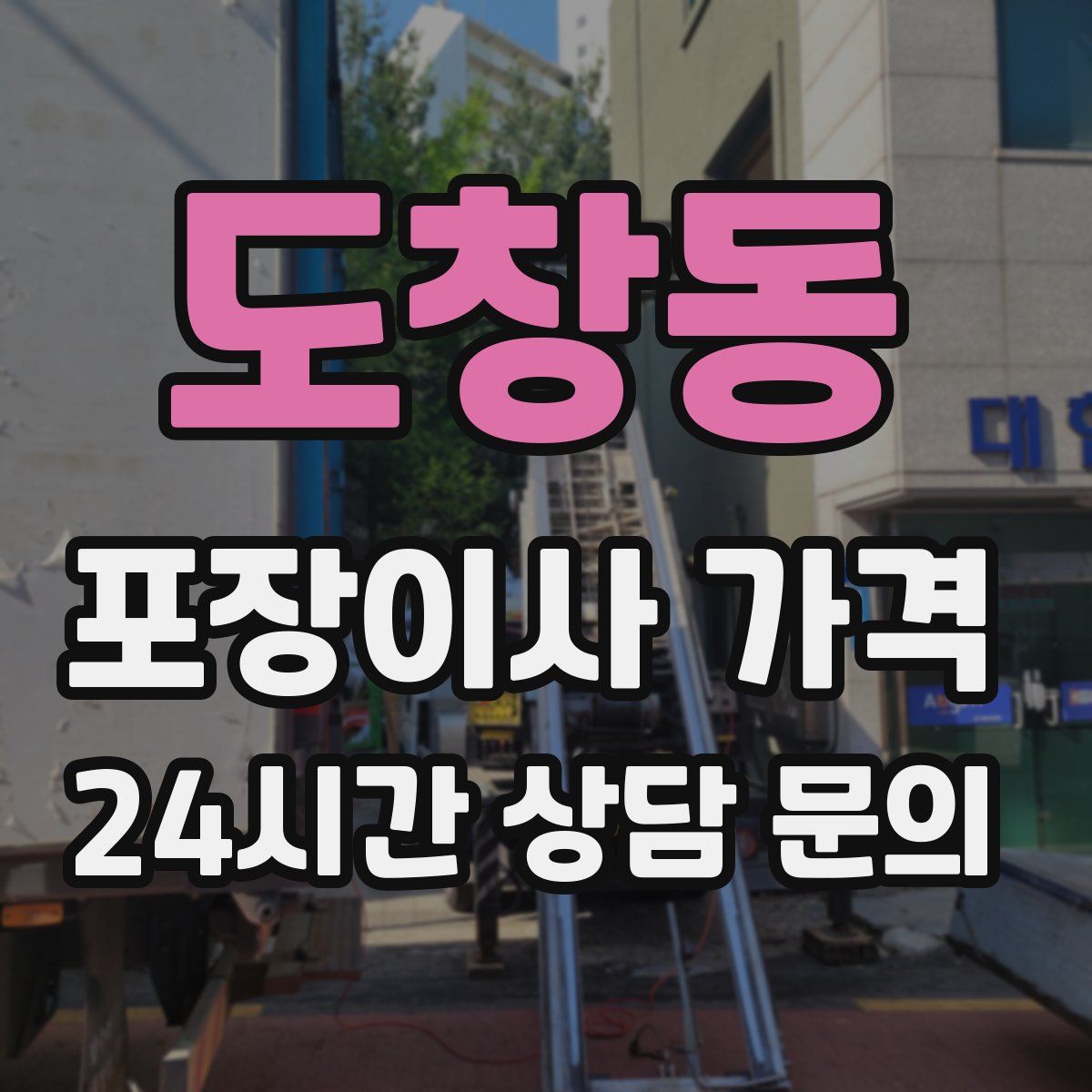 도창동 포장이사 가격