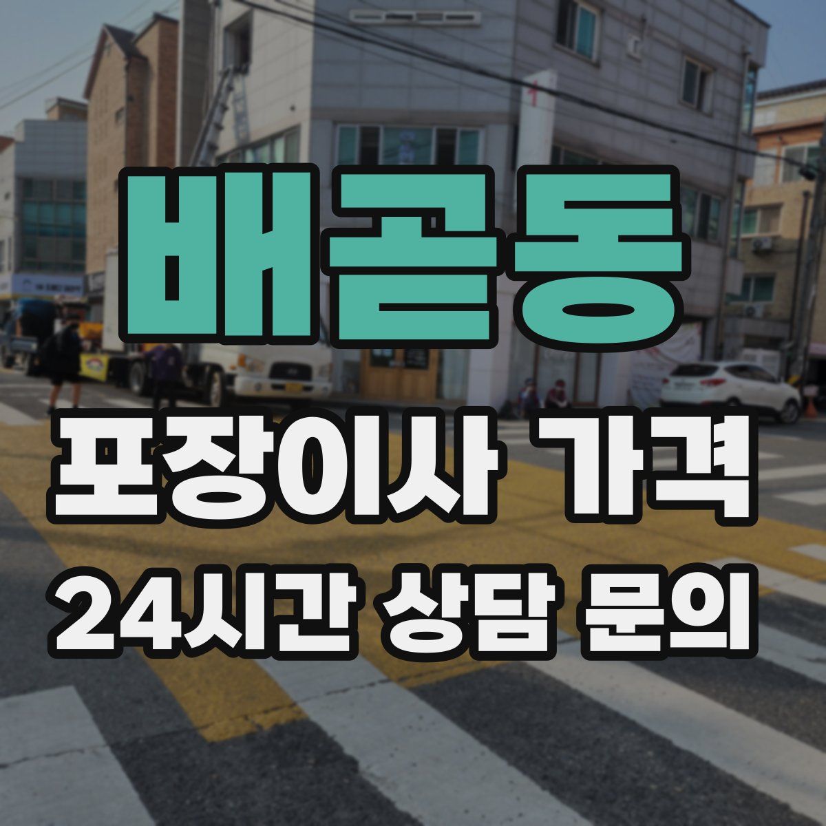 배곧동 포장이사 가격