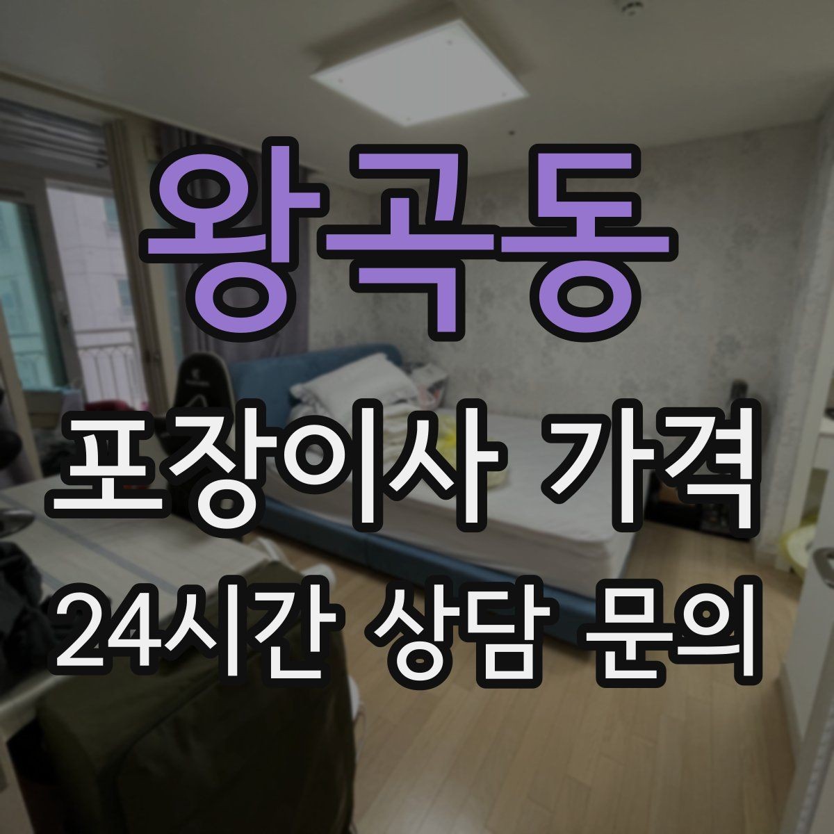 왕곡동 포장이사 가격 반려동물 스트레스 줄이는 이사 당일 동선