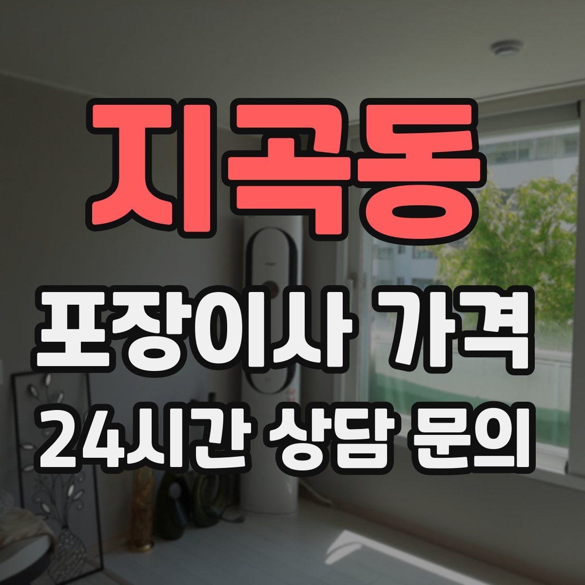 지곡동 포장이사 가격