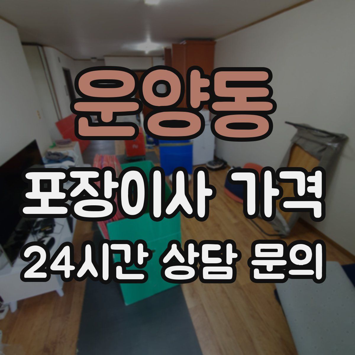 운양동 포장이사 가격