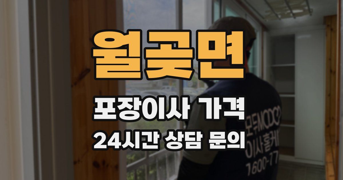 월곶면 포장이사 가격