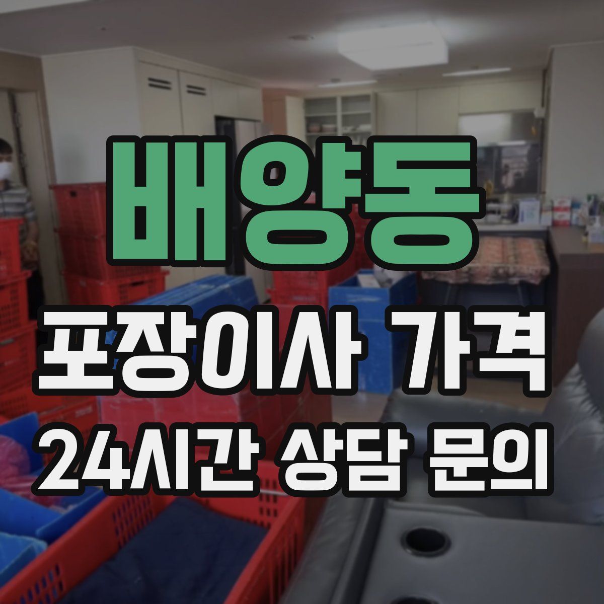 배양동 포장이사 가격