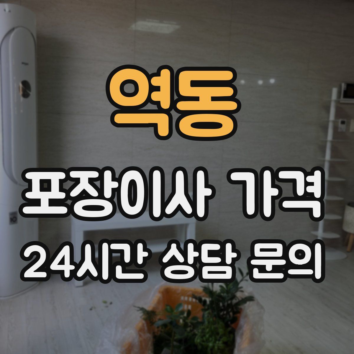 역동 포장이사 가격