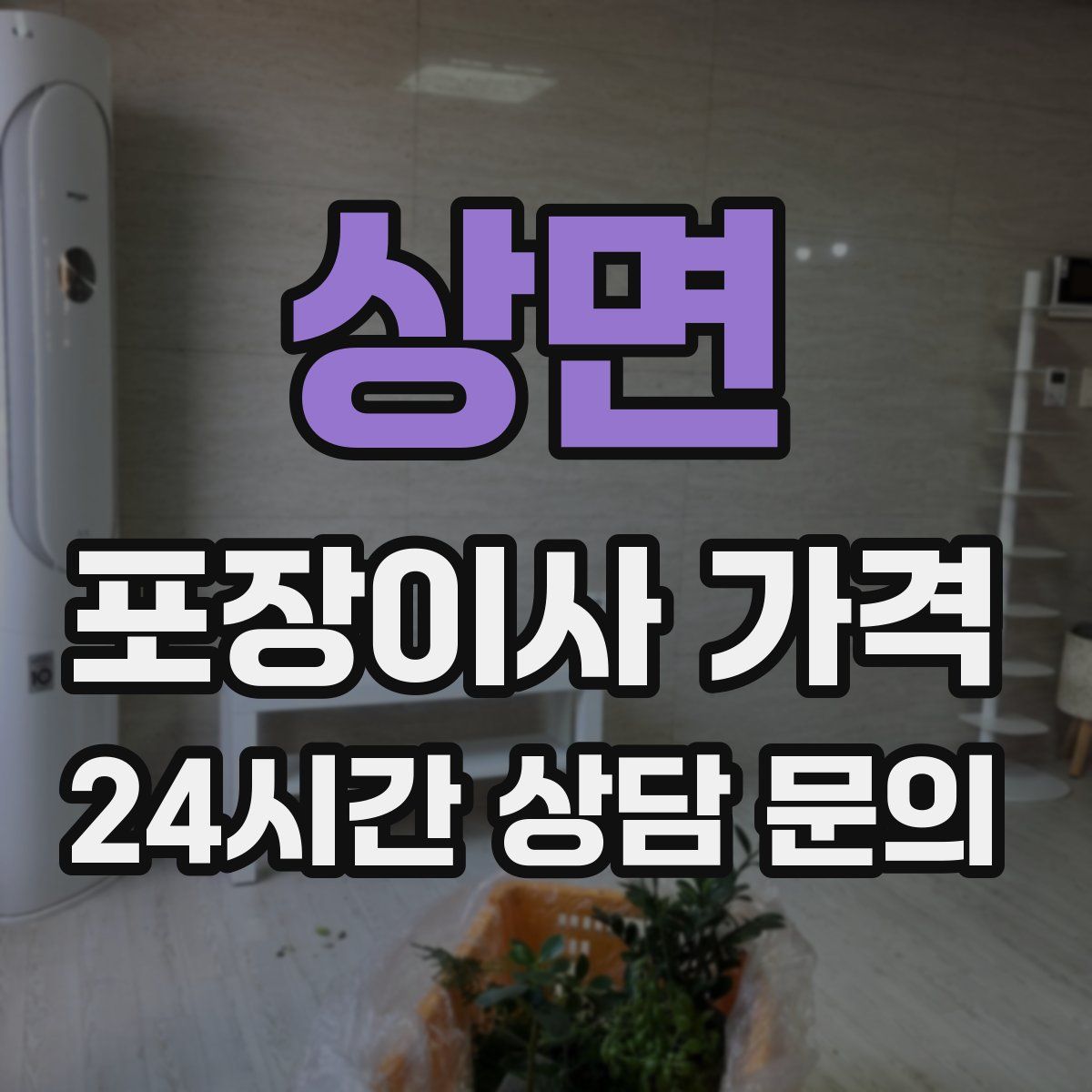 상면 포장이사 가격