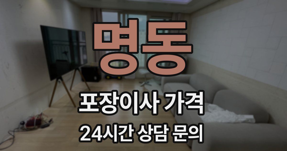 명동 포장이사 가격