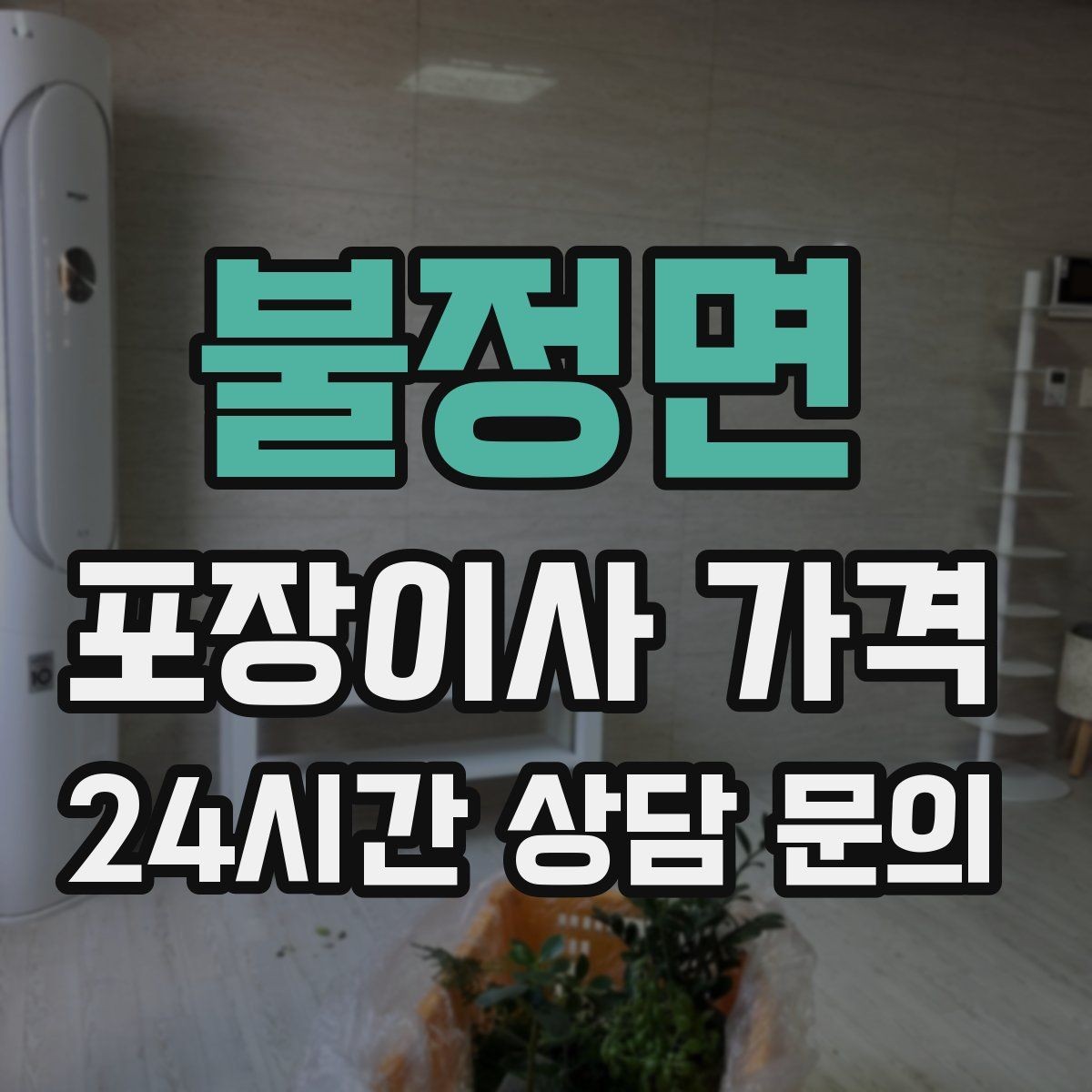 불정면 포장이사 가격 어항·대형 화분이 있을 때 견적 포인트