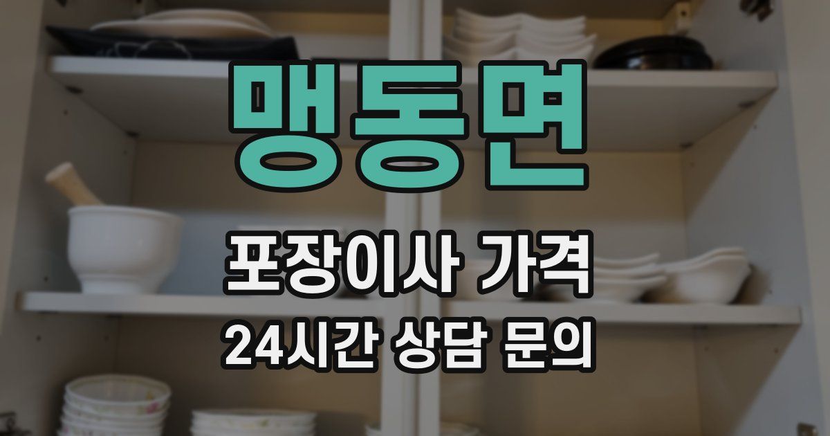 맹동면 포장이사 가격