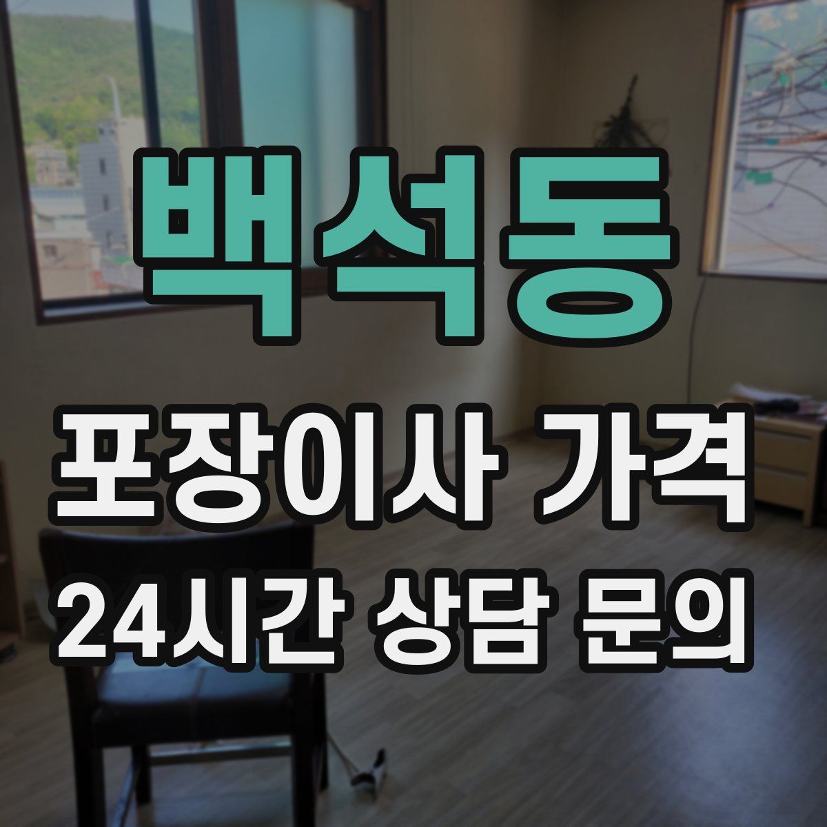 백석동 포장이사 가격