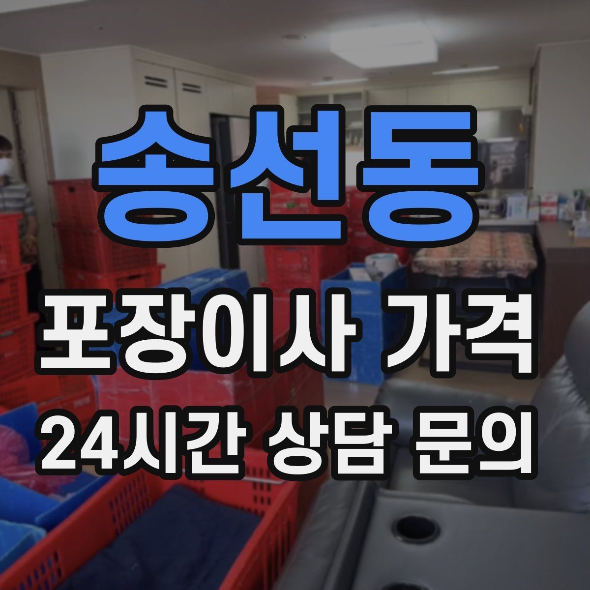송선동 포장이사 가격 반려동물이 있으면 준비가 달라지는 이유