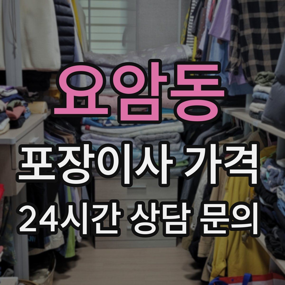 요암동 포장이사 가격 반려동물 스트레스 줄이는 이사 당일 동선