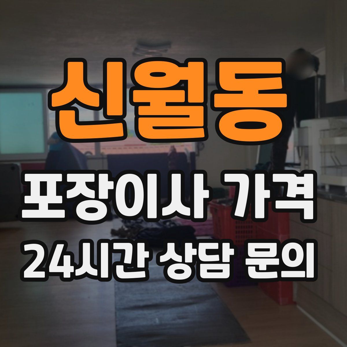 신월동 포장이사 가격