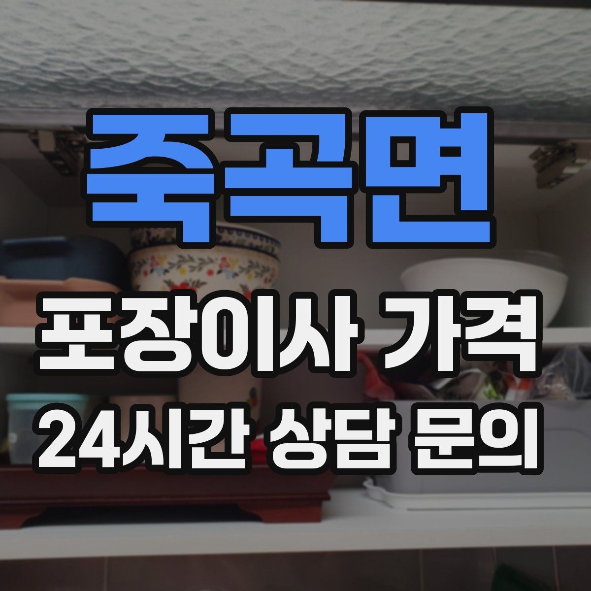 죽곡면 포장이사 가격 반려동물 이사 준비가 비용에 미치는 영향