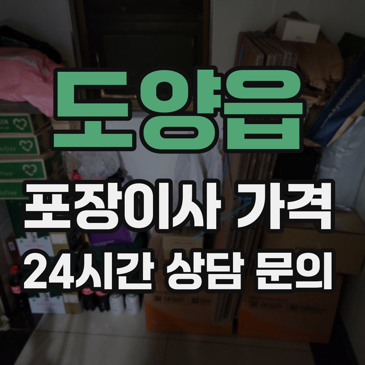 도양읍 포장이사 가격